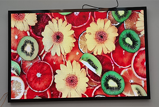 上海宝山某公司室内P1.86尺寸2.24mX1.44m项目